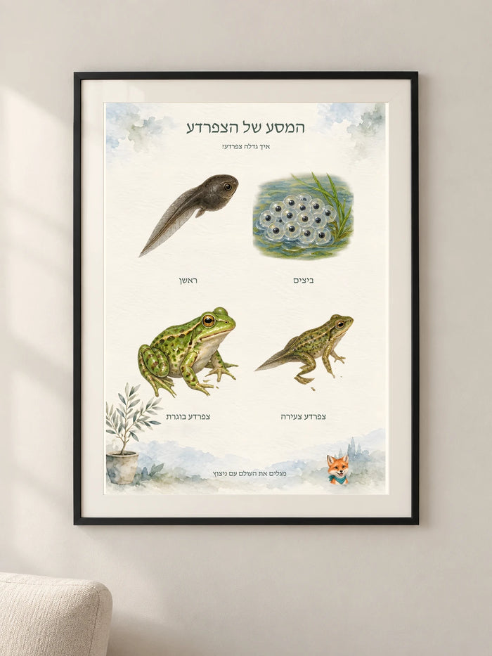 המסע של הצפרדע — פוסטר לימודי עם ניצוץ
