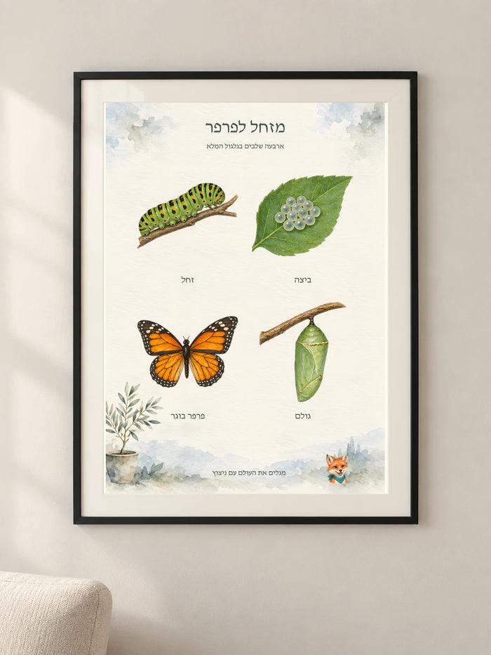 מזחל לפרפר — פוסטר לימודי עם ניצוץ