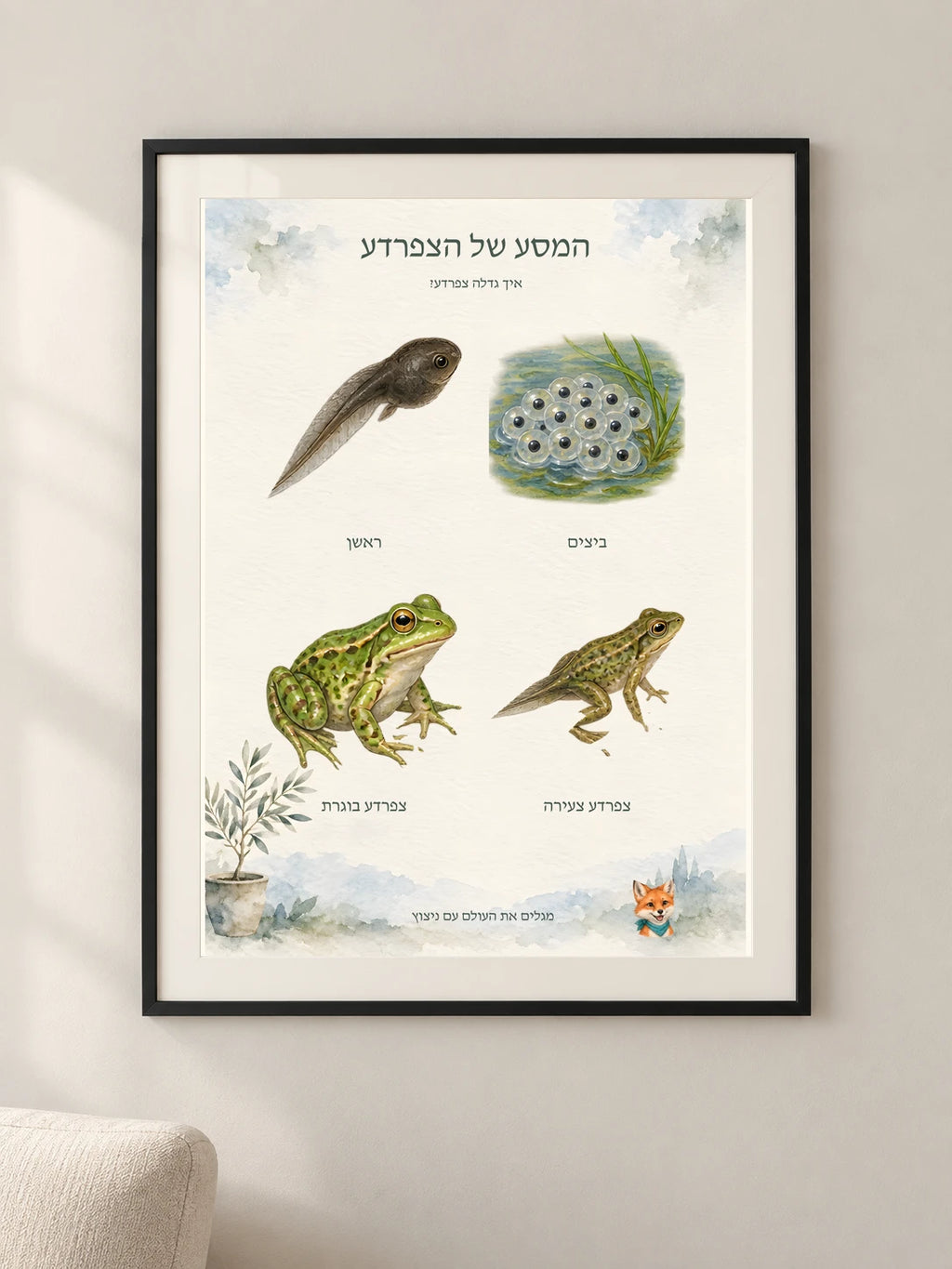 המסע של הצפרדע — framed — minimal-room-v3