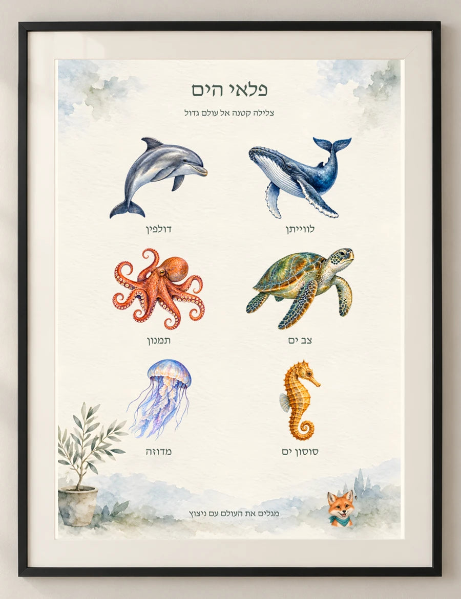 פלאי הים — detail — minimal-room-v3
