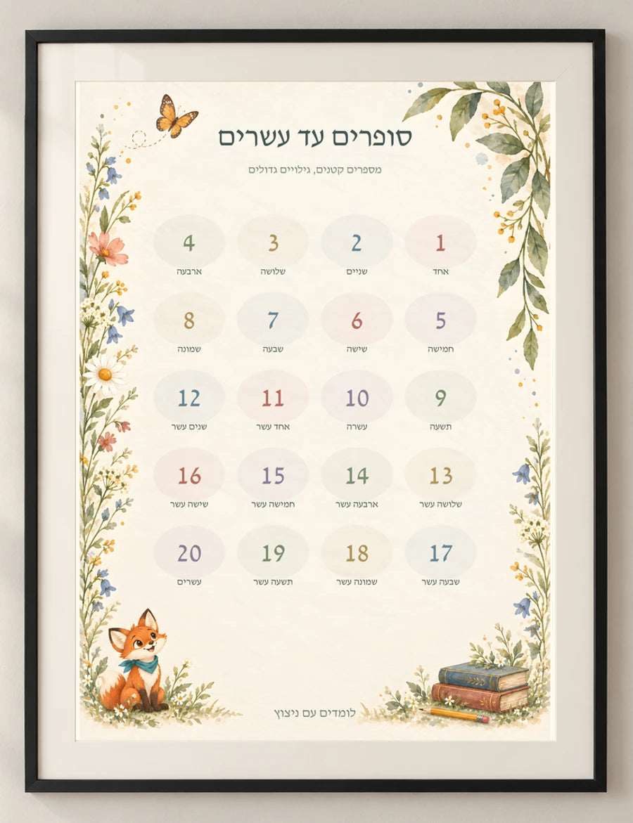 סופרים עד עשרים — detail — minimal-room-v3