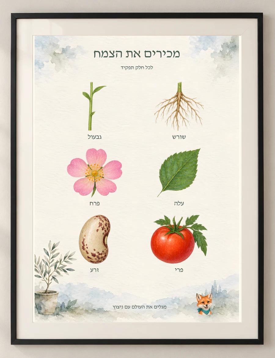 מכירים את הצמח — detail — minimal-room-v3