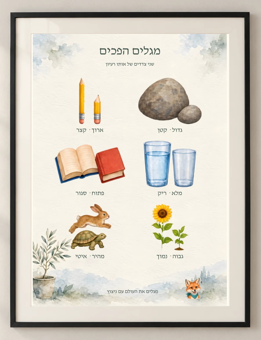 מגלים הפכים — detail — minimal-room-v3