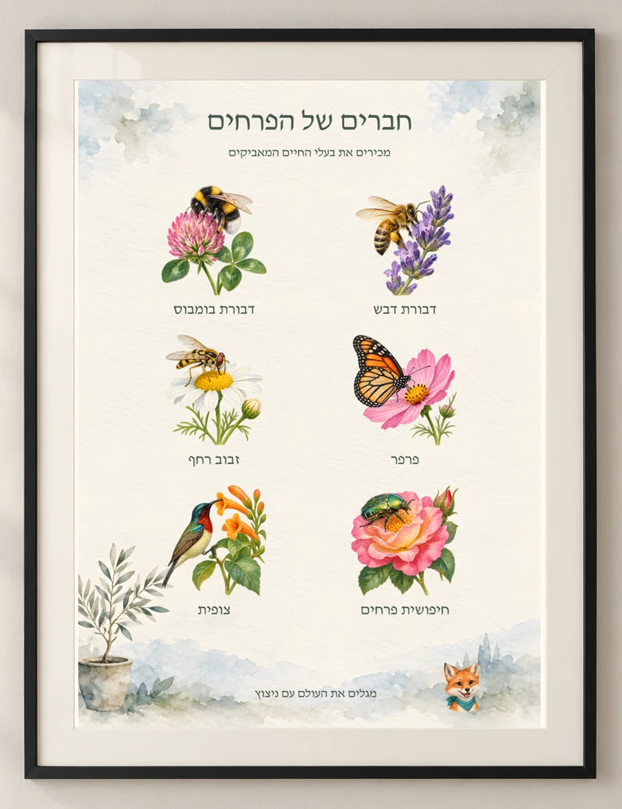 חברים של הפרחים — detail — minimal-room-v3
